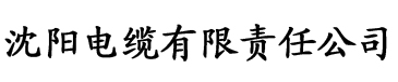 VP電競平臺電纜廠logo