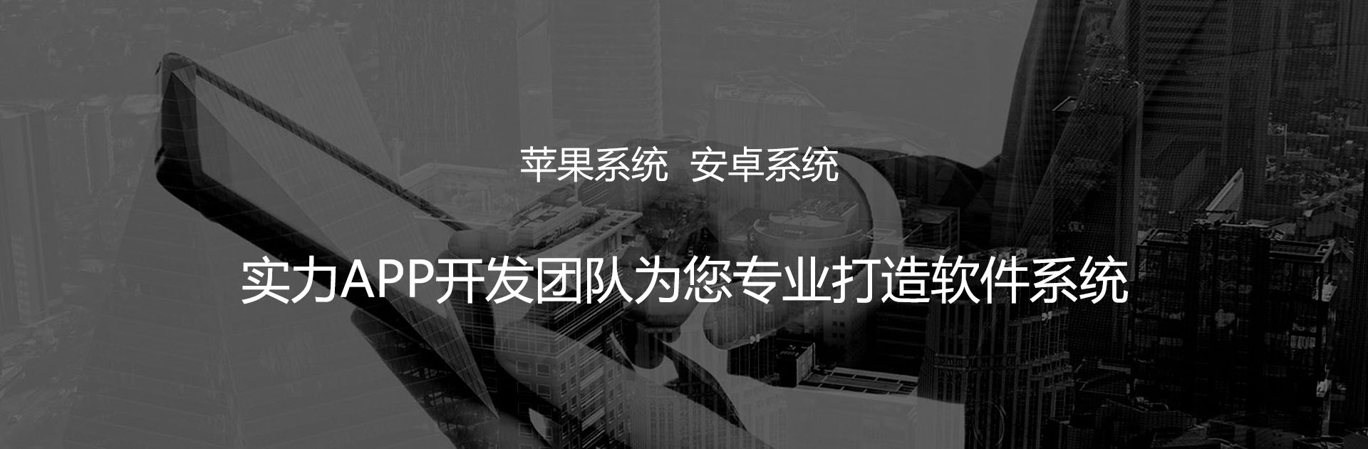 沈陽藍德科技APP開發